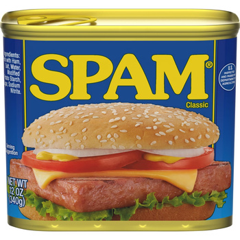 CLASSIC PORK LUNCHEON MEAT 340 G – SPAM