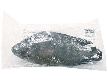 BLACK NIL TILAPIA GS 700+ g - ASIAN PEARL (FROZEN)